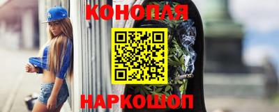 PSILOCYBIN Нальчик