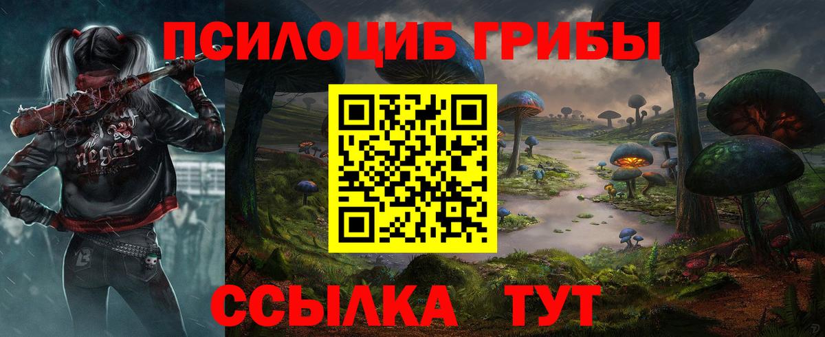 Солнечногорск  закладка  Вход с VPN  Псилоцибиновые грибы Cubensis  Псилоцибиновые грибы прущие грибы 