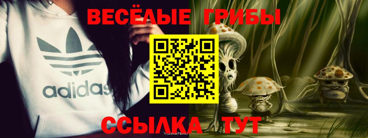 Псилоцибиновые грибы прущие грибы Солнечногорск